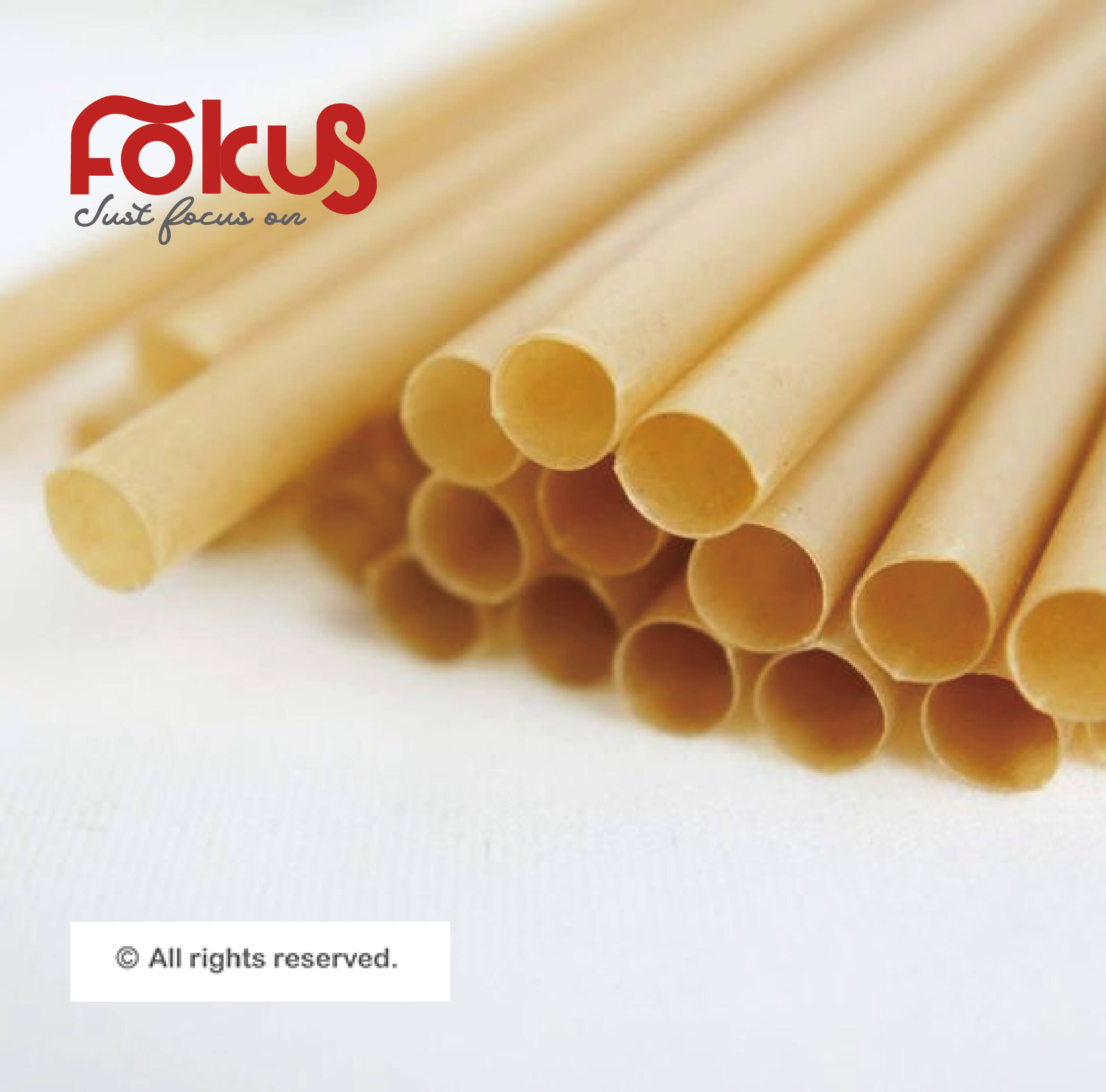 Compostable Series - Wheat Fiber Straws